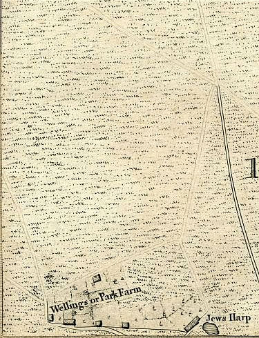 Click To Enlarge Bottom Left Quarter