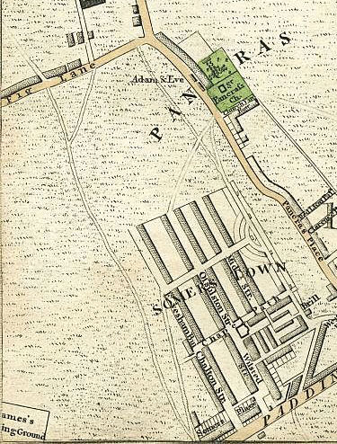 Click To Enlarge Bottom Left Quarter
