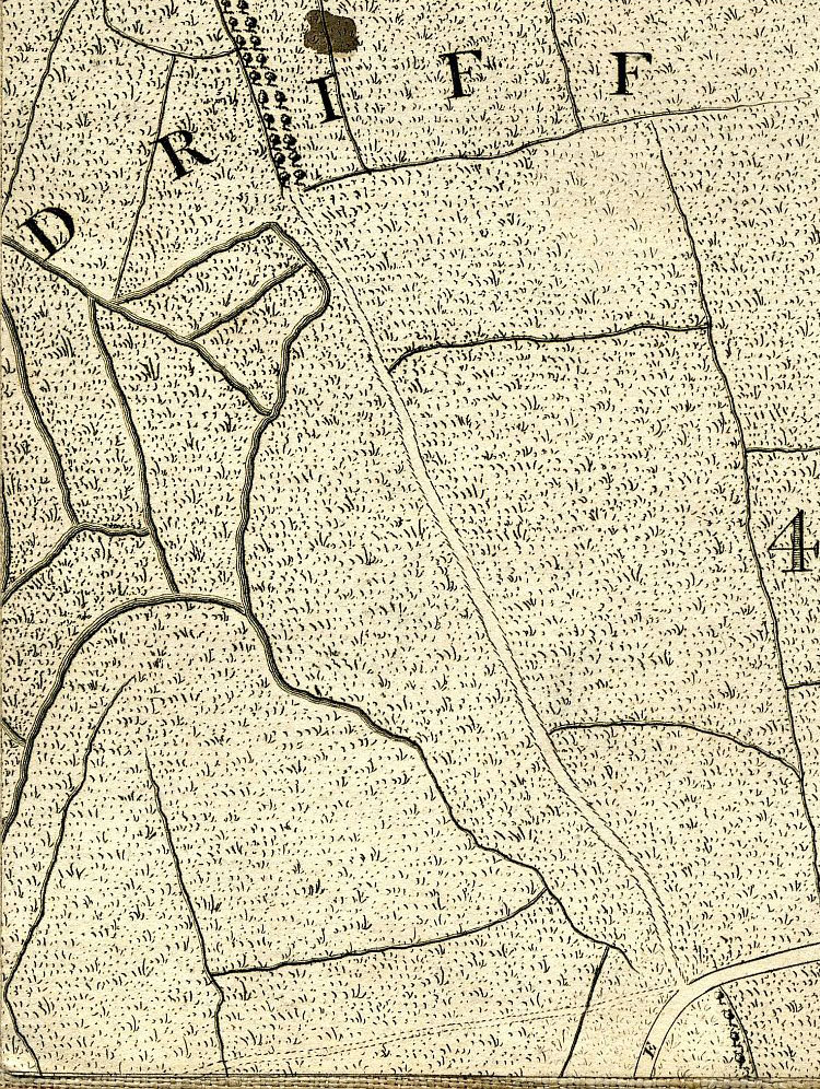 Return To Previous View