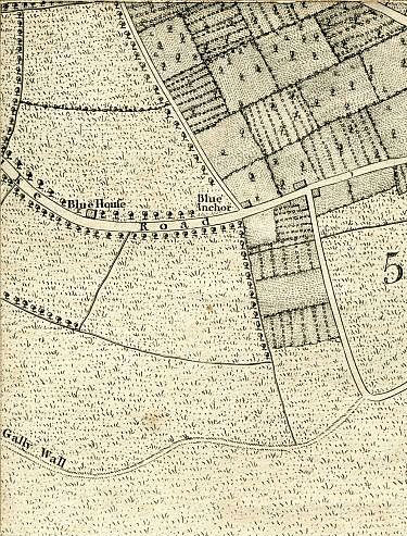 Click To Enlarge Top Left Quarter