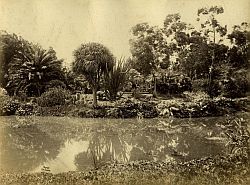 Botanical Gardens, Adelaide Botanical Gardens, Adelaide