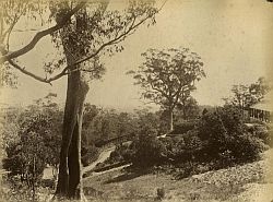 Mount Lofty Mount Lofty