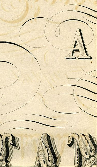 Click To Enlarge Bottom Right Quarter