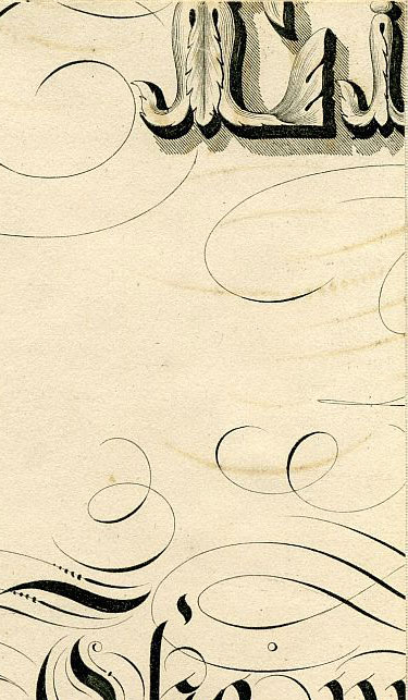 Click To Enlarge Top Right Quarter