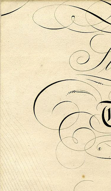 Click To Enlarge Top Left Quarter