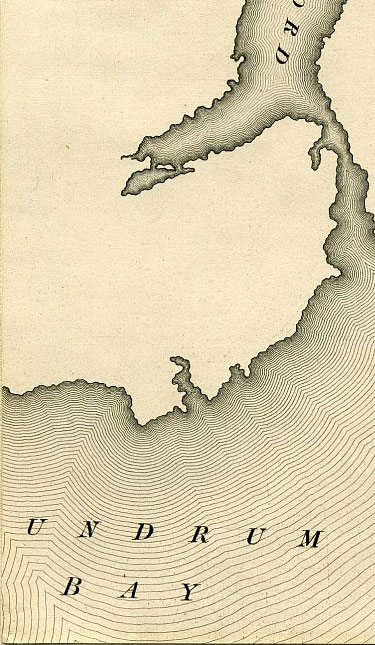 Click To Enlarge Bottom Left Quarter