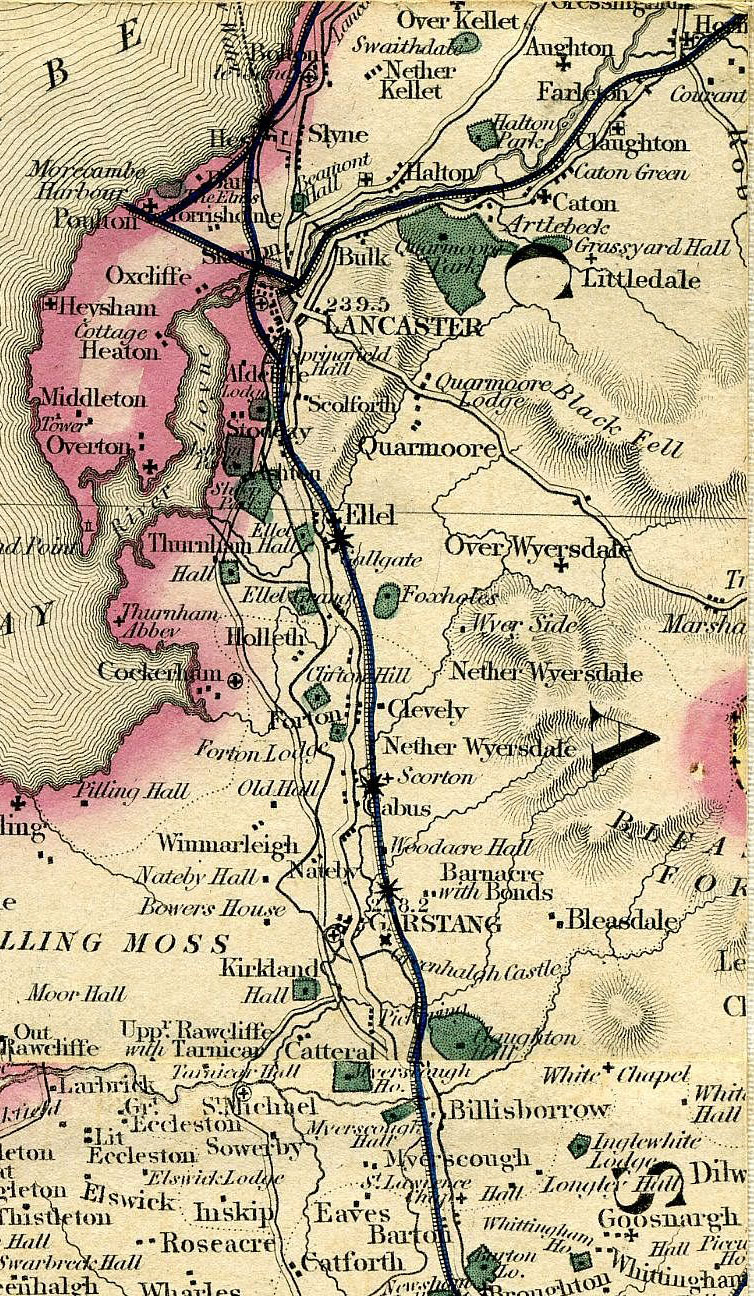 Return To Previous View