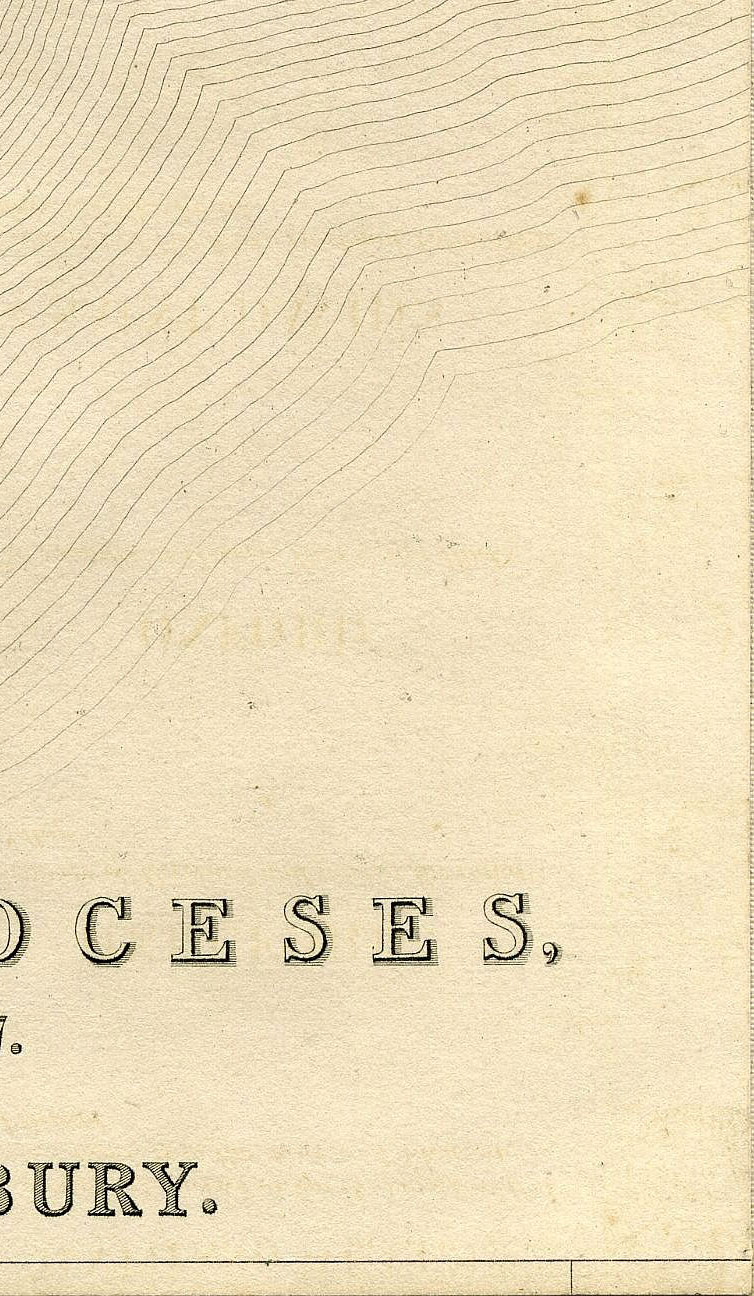 Return To Previous View